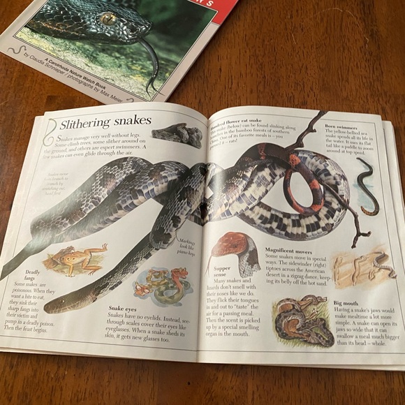 Snakes. Four paperback books about snakes and reptiles. - Picture 10 of 14